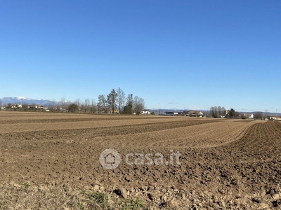 Terreno agricolo in Vendita in a Cologna Veneta