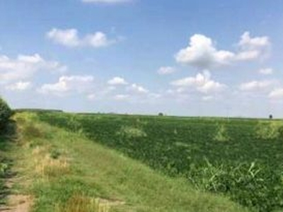 Terreno agricolo in Vendita in a Legnago