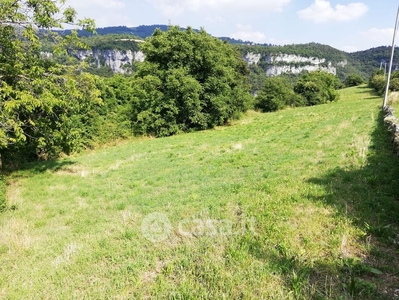 Terreno agricolo in Vendita in Molina a Fumane