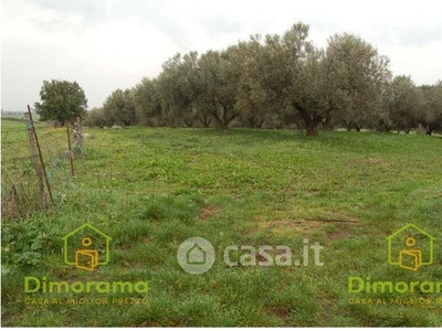 Terreno agricolo in Vendita in Strada Volpara a Viterbo