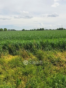 Terreno agricolo in Vendita in Via Canale Sinistra Inferiore a Bagnacavallo