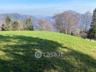 Terreno agricolo in Vendita in Via Casina del Monte a Adrara San Martino