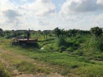 Terreno agricolo in Vendita in Via Marchesa a Legnago