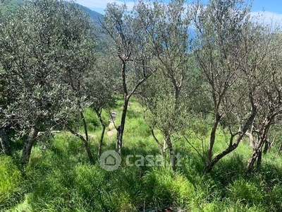 Terreno agricolo in Vendita in Via porta d'aia a Avegno