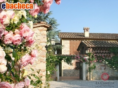 Villa in affitto a Lucca