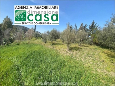 Terreno Agricolo in vendita a Caltanissetta sp44