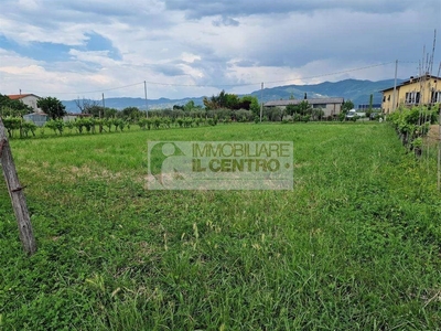 Terreno Agricolo in vendita a Sarzana