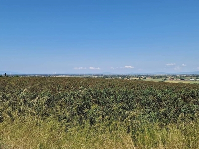 Terreno Agricolo in vendita a Tarquinia località Bandita San Pantaleo, snc