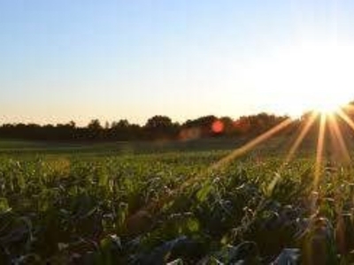 Terreno Agricolo in vendita a Villorba