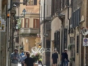Appartamento in Affitto in Via Santo Spirito a Firenze