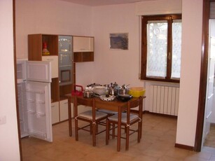Bilocale in Affitto a Pisa, 550€, 45 m², arredato