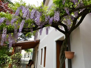 Casa Bi - Trifamiliare in Vendita a Vicenza Cattane