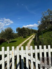 Casa con Piscina e Ulivi a soli 4 km da Cortona