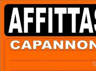 Castelnuvo di sotto Capannone indi-dente mq 4.150