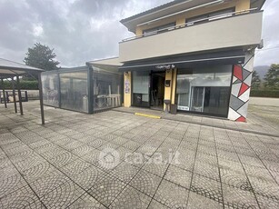 Negozio/Locale commerciale in Affitto in Via Villa Fontana a Capannori