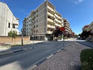 Negozio Pescara [Cod. rif 3153904ACG]