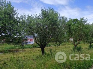 Terreno agricolo in Affitto in Via San Giorgio a Cascina