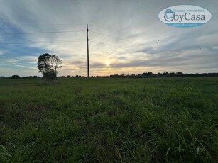 Terreno Agricolo in vendita a Cerveteri