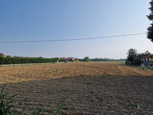 Terreno agricolo in Vendita a Cesena Macerone