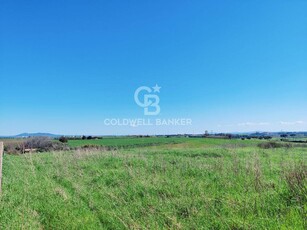 Terreno Agricolo in vendita a Montalto di Castro