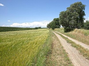 terreno agricolo in vendita a Viterbo
