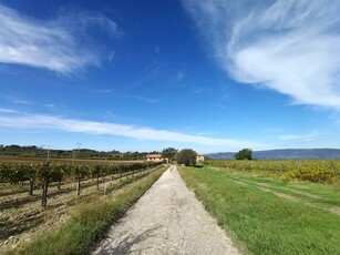 Vendita Azienda agricola, in zona MONTENERO D'ORCIA, CASTEL DEL PIANO