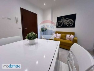 Appartamento arredato con terrazzo Milano