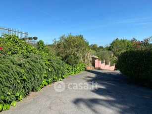 Appartamento in Affitto in Via dell'Ospedaletto Giustiniani 12 a Roma