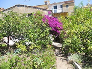 Appartamento in Affitto in Via Santa Maria a Isola del Giglio