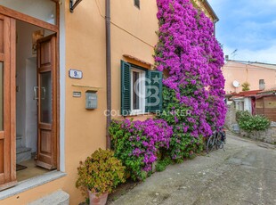 Appartamento in vendita, Campo nell'Elba sant'ilario e la pila