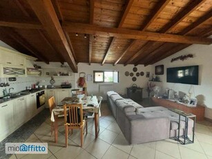 Attico arredato con terrazzo Lunghezza, castelverde, ponte di nona, acqua vergine