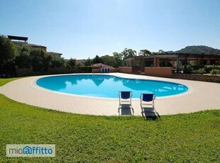 Bilocale arredato con piscina Porto rotondo