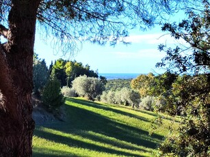 Colonica in vendita a Casale Marittimo Pisa