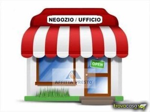 Magazzino in Affitto a Empoli