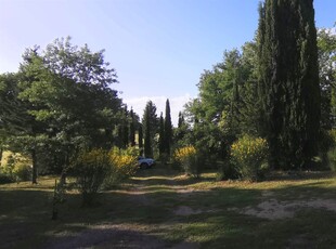 Rustico casale in vendita a Cetona Siena