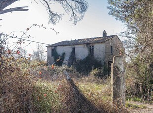 Rustico casale in vendita a Suvereto Livorno