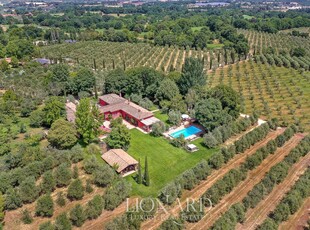 Tenuta con azienda agricola certificata biologica in vendita nella rigogliosa campagna in provincia di Viterbo