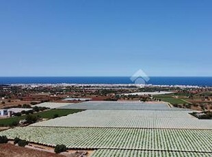 TER. AGRICOLO A POLIGNANO A MARE