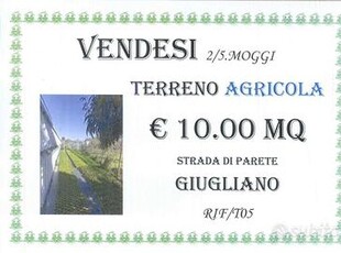 Terreno agricolo 2,5 moggi strada Parete/Giugliano