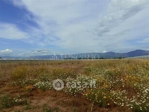 Terreno agricolo in Affitto in a Sabaudia