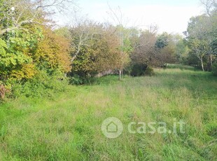 Terreno agricolo in Affitto in statale per Prosecco a Trieste