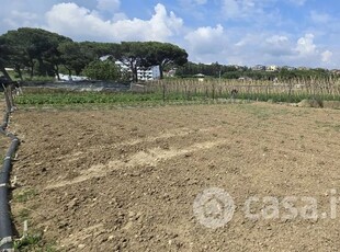 Terreno agricolo in Affitto in Via Berlinguer a Città Sant'Angelo