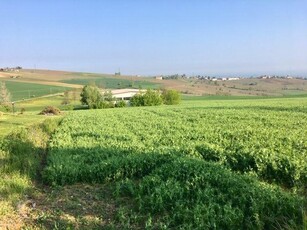 Terreno agricolo in vendita a Borgonovo Val Tidone