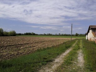 Terreno agricolo in Vendita a Camisano Vicentino