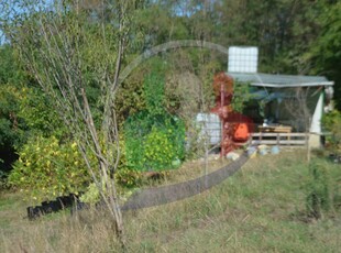 Terreno agricolo in vendita a Sommariva Del Bosco