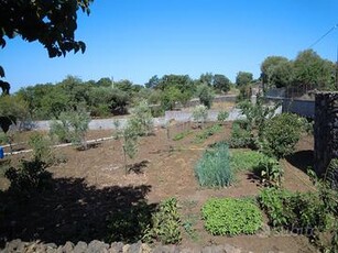 Terreno coltivato recintato adiacente Belpasso