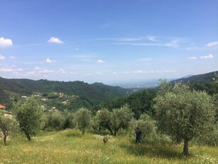 Terreno edificabile in vendita a Marliana