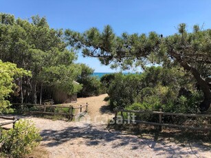 Villa in Affitto in Roccamare a Castiglione della Pescaia