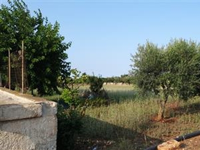 Agricolo - Uliveto a Polignano a Mare