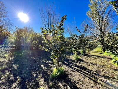 Terreno Agricolo in vendita, Mercato San Severino corticelle